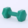 Ladies’ Hexagon Aerobics Dumbbell for Gym, Home & Fitness Workout - Gymjunior