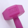 Ladies’ Hexagon Aerobics Dumbbell for Gym, Home & Fitness Workout - Gymjunior