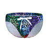 Man Leopard Swimsuit Trunks Swimsuit Male Swimsuit Briefs - Gymjunior